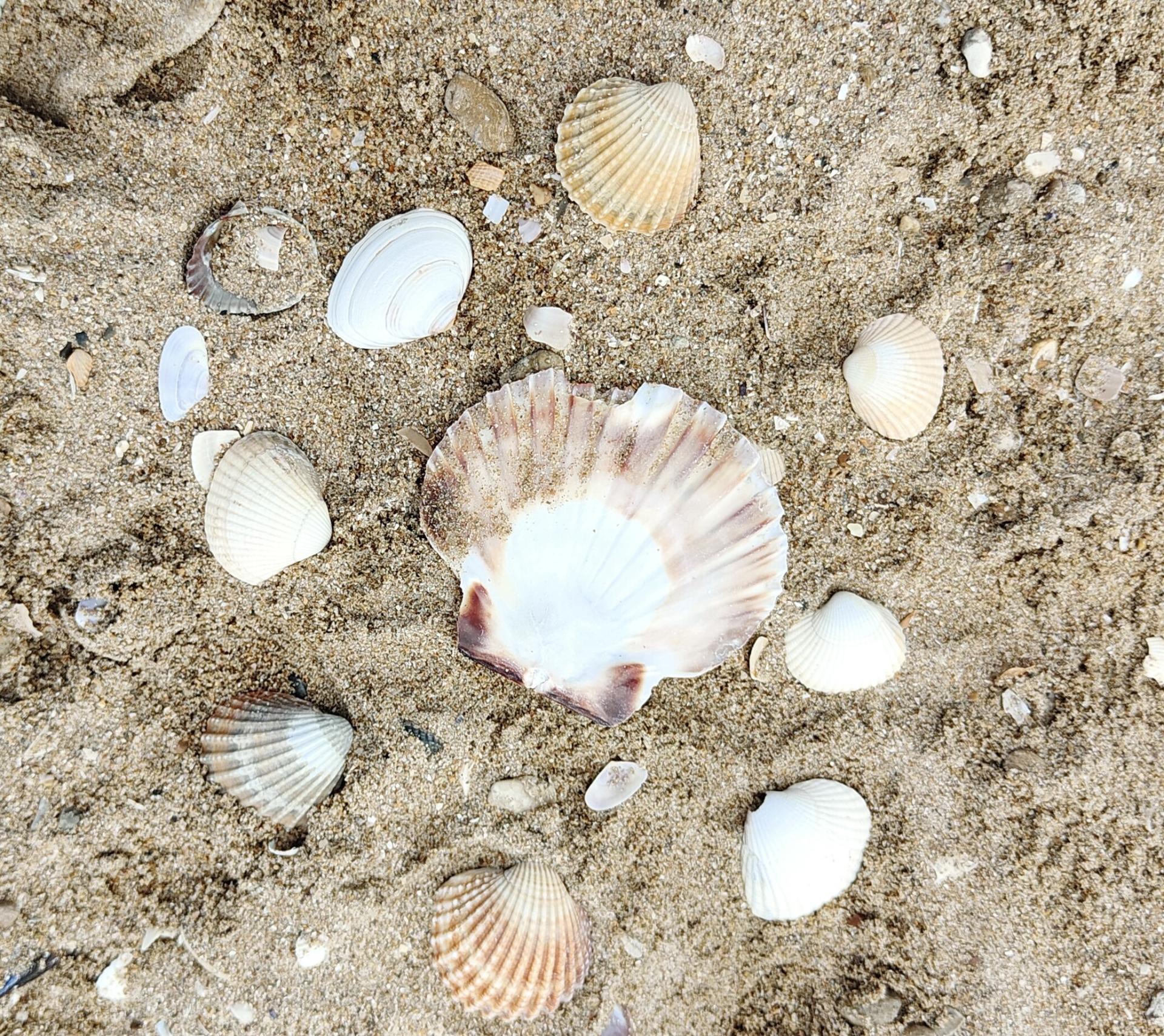 20250419 rando franceville 4