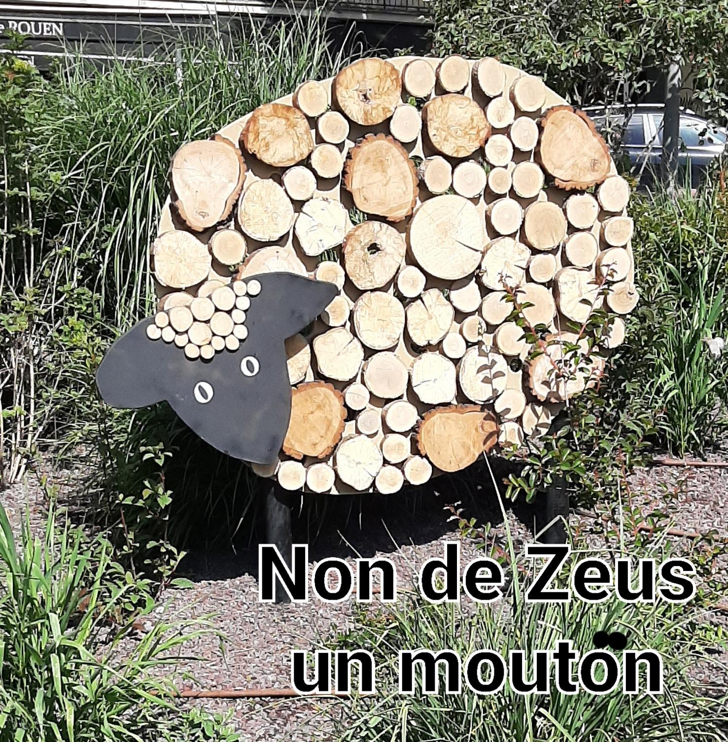 20250522 rando sportive zeus 10