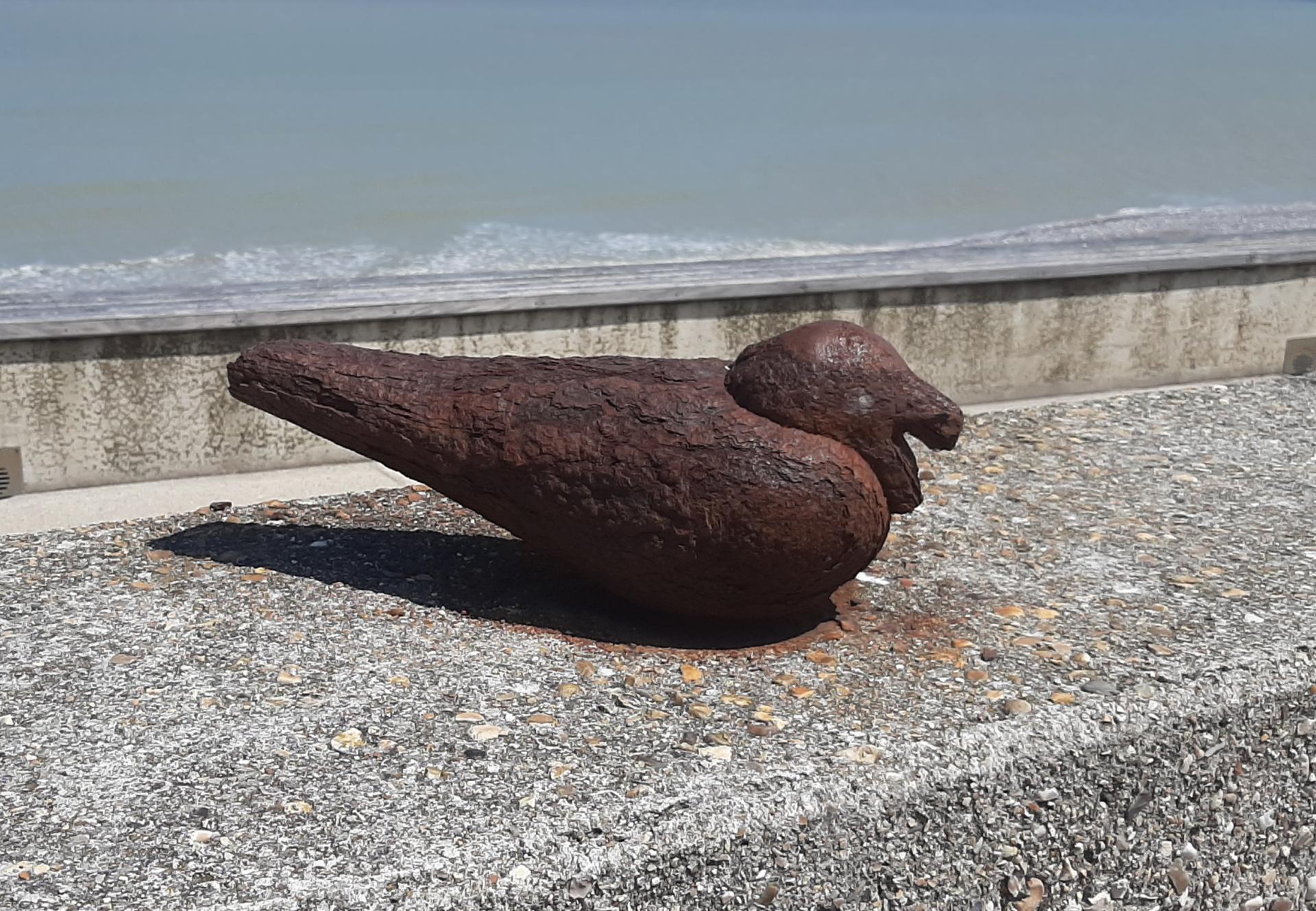 20250602 rando veulettes st valery 2