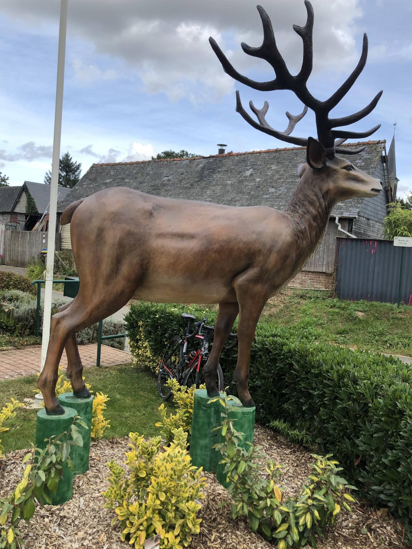 20250827 cyclo dominique