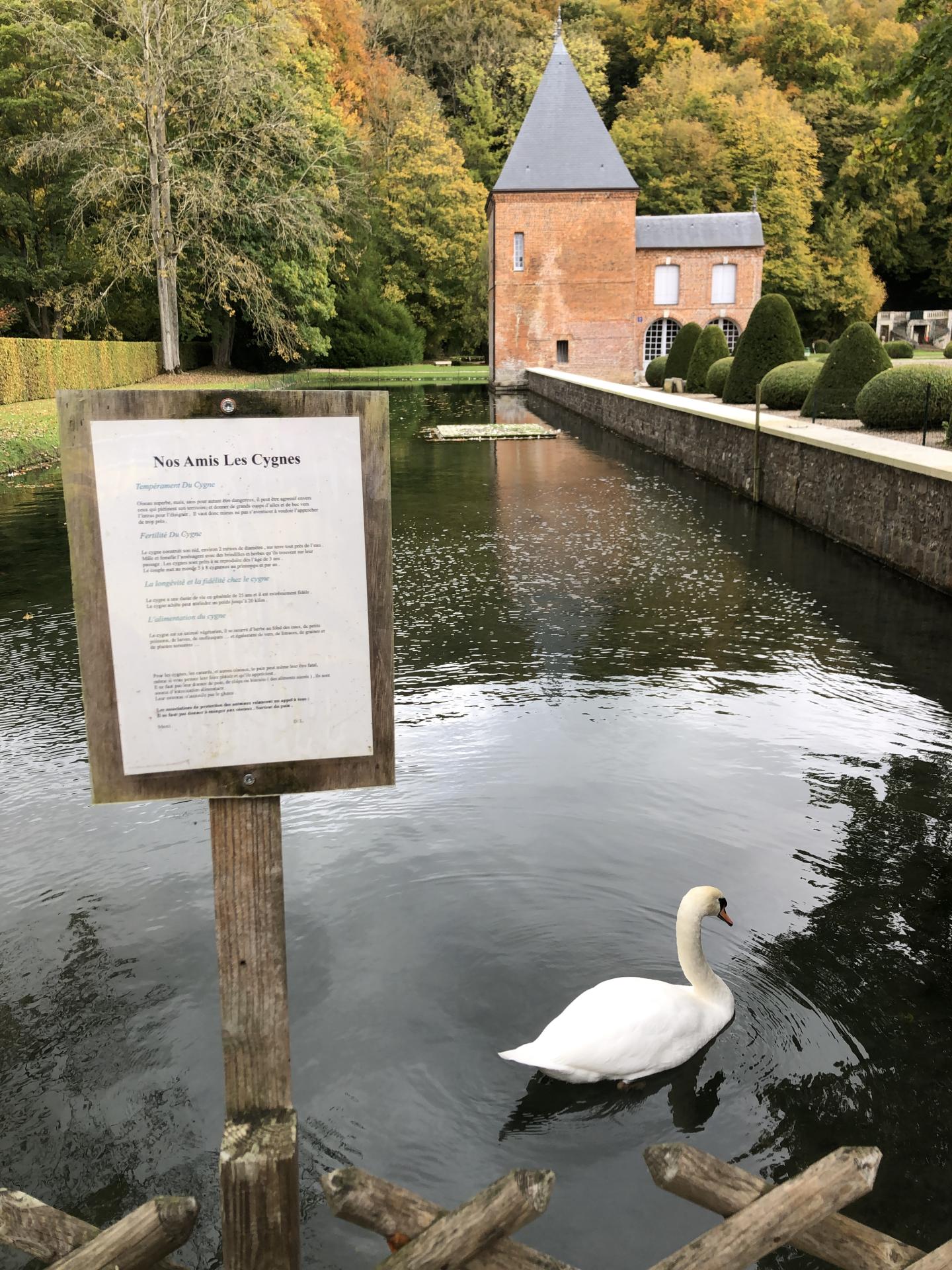 20251018 rando poeme dom