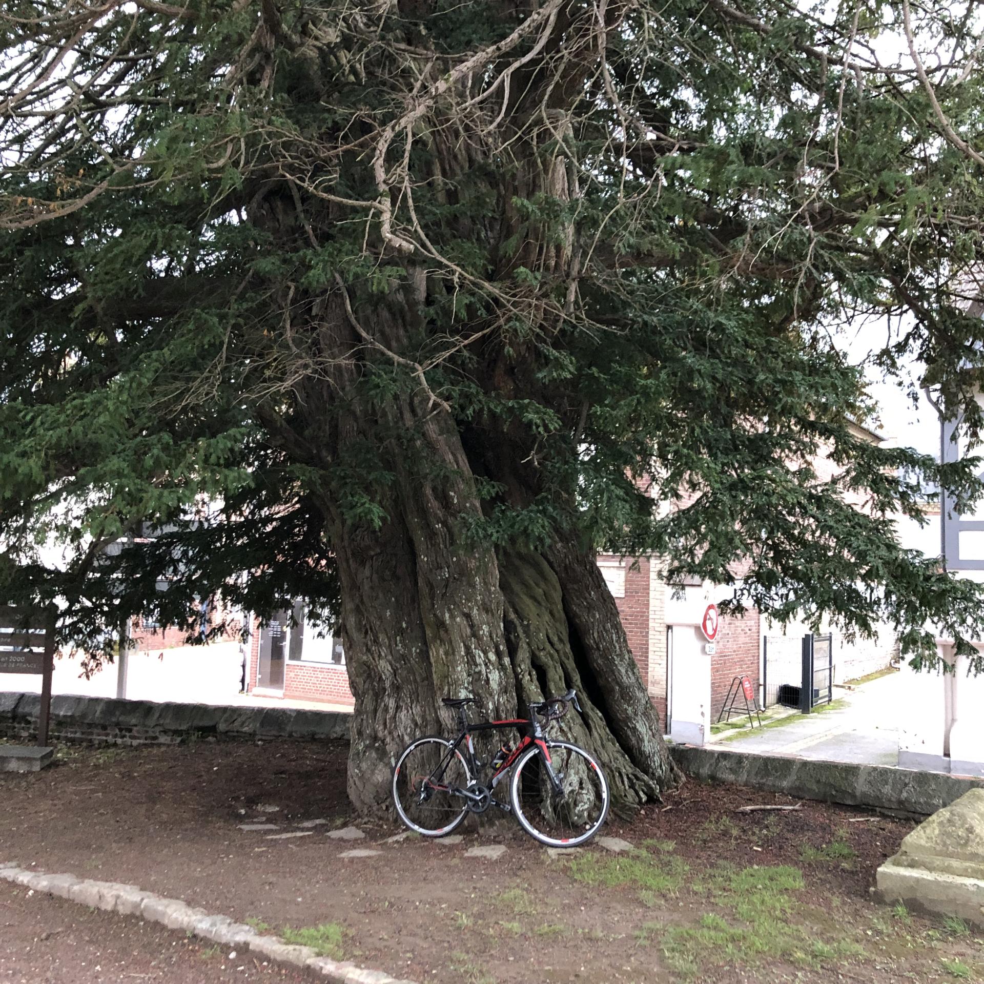 20251026 velo du dimanche