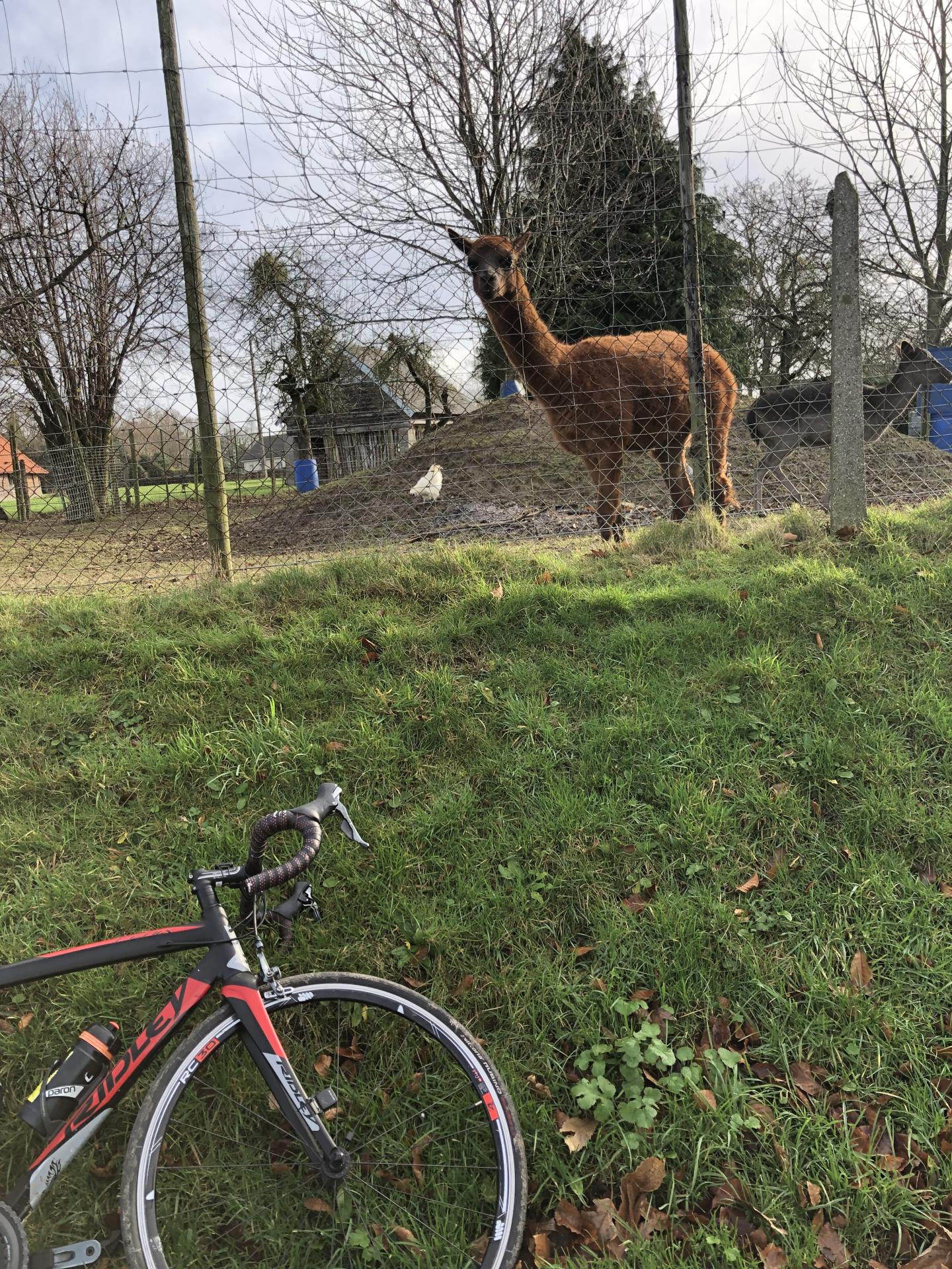 20251210 rando velo dom